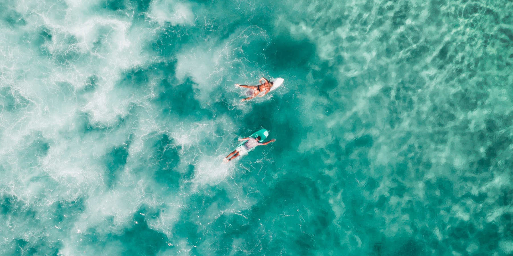 The Ocean
Gives Back